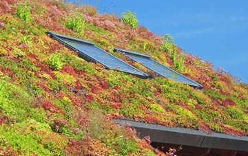 Wentnor living roof systems